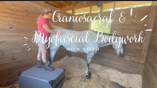 Equine Craniosacral Therapy amp Myofascial Release  Stephanie Chan [upl. by Noyk611]