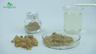 Boswellia Serrata Extract [upl. by Odericus]