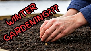 Planting the Winter Garden 2024 [upl. by Groves694]