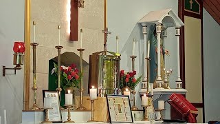 Traditional Latin Mass Kelmscott WA is live XXIII Sunday after Pentecost 3rd November 2024 [upl. by Esnahc]