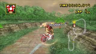 MKWii TAS Jungle Ruins Lap1  0036012 [upl. by Ambert]