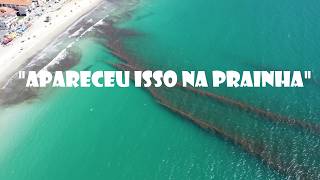 em Arraial do Cabo 310824 [upl. by Felise]