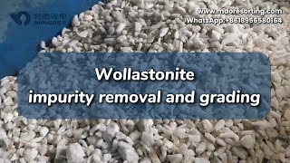 Remove impurities from wollastonite wollastonite oresorting [upl. by Colon709]