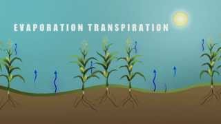 Evaporation and Transpiration 720p [upl. by Carol-Jean]