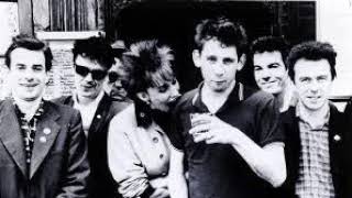 The Pogues  The Limerick Rake live 1988 [upl. by Yvad]