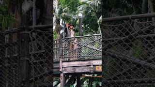 INDIANA JONES AND THE JUNGLE CRUISE ADVENTURE at Disneyland [upl. by Merla]