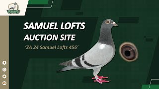 Samuel Lofts Auction Site  ZA 24 Samuel Lofts 456 [upl. by Kery]