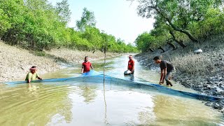 এ বছরে আবারো চলে আসলাম বনমালী খালে বেন্দি জাল দিয়ে হাবজা ধরতেWILDLIFEOFSUNDARBANft7nu [upl. by Junno]