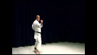 Shotokan Karate Kata Brown Belt Kata [upl. by Mabelle]