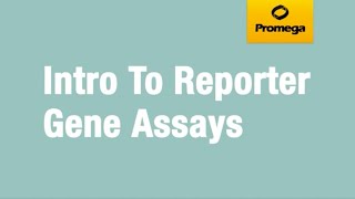 Introduction to Reporter Gene Assays [upl. by Nairb]