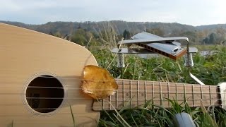 Auf drei Rädern in den Herbst  mit Ukulele und Mundharmonika [upl. by Laurena]