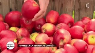 Produit du jour  les secrets de la pomme [upl. by Jonna]