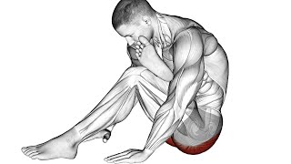 The 12 Best Mobility Exercises for Better Movement [upl. by Acinorej280]