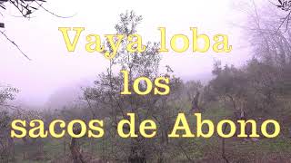 Que loba los sacos de Abono [upl. by Notse]