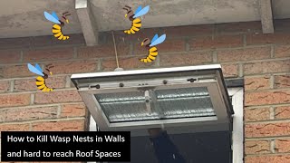 How to Kill Wasp Nests in Walls and hard to reach Roof Spaces [upl. by Will679]