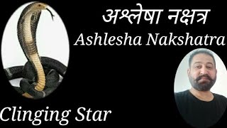 Ashlesha Nakshatra  अश्लेषा नक्षत्र की विस्तृत जानकारी  भौतिकवादी नक्षत्र  Clinging Star [upl. by Kinnon]