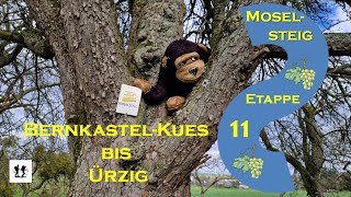 Moselsteig Etappe 11 Von BernkastelKues nach Ürzig [upl. by Eanat]