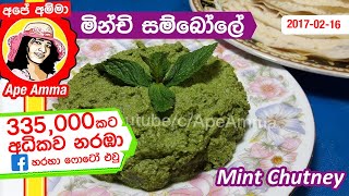 ✔ බිරියානි තෝසේ වඩේ එක්ක කන මින්චි සම්බෝලේ Minchi sambola  Mint Sambol ENG Sub by Apé Amma [upl. by Lilac]