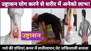 उष्ट्रासनUstrasana BenefitsBaba Ramdev UstrasanaVijay Yogasan [upl. by Ferreby788]