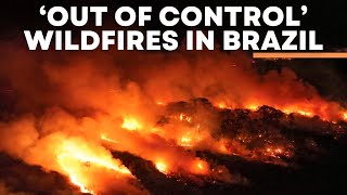 Brazil Wildfire LIVE Horrifying Visuals Of Wildfires Burn Across Brazil Wetlands  Times Now LIVE [upl. by Esiahc]