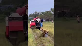 Farmers collect straw after Kubotaagriculturestomaches [upl. by Zeuqirdor]