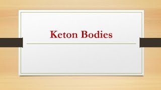 11keton bodie ketogenesis amp ketolysis biochemistry شرح بالعربي [upl. by Ynitsed374]