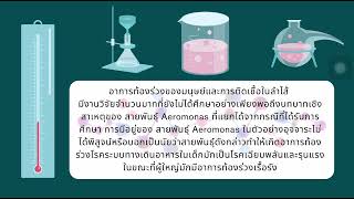 เเบคทีเรีย Aeromonas [upl. by Assirim]