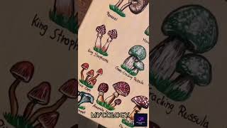 Mycology Study of fungi Mashrooms studybiology nature botany plantscience [upl. by Antipas]