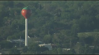 POTEET STRAWBERRY FESTIVAL [upl. by Hallam]