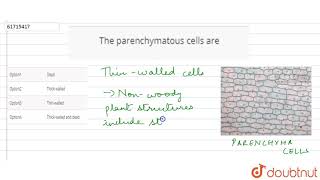 The parenchymatous cells ar [upl. by Traver269]