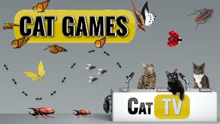 CAT Games  Ultimate Cat TV Bugs and Butterflies Compilation Vol 4 🪲 🐞🦋🦗🐜  Videos For Cats to Watch [upl. by Ainival]