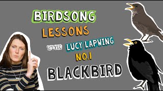 How to Identify Blackbird Song  Episode 1 of Birdsong Lessons with Lucy Lapwing [upl. by Wadesworth315]