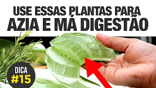 Remédio caseiro para AZIA GASTRITE E MÁ DIGESTÃO 🌿🌱🍵 DICA 15 [upl. by Debby]