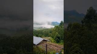 Vattavada diaries tourist places in Keralakerala tourismshorts viral [upl. by Mayes136]