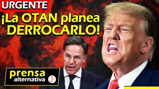 Impedirán que Trump llegue al poder Van a BOMBARDEAR Rusia para escalar la guerra [upl. by Ethelstan]