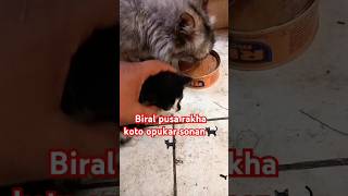 Biral posa Rakha onak pukar🐱 islamicmediacenter waz vairalvideo 💯🙏 [upl. by Atniuq633]