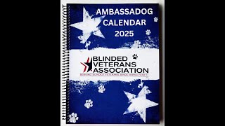 Video showing a package from Amazon Prime which is the Ambassadog CalendarPlanner 2025 [upl. by Breena]