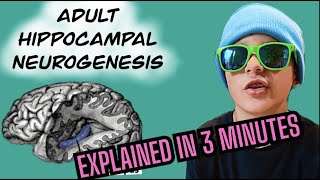 Adult Hippocampal Neurogenesis Explained in 3 Minutes [upl. by Anyat]