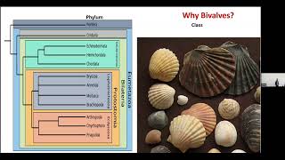 Guest Lecture Aniket Mitra  Revisiting Paleogene through the migration pattern of Bivalvia [upl. by Oinotnaocram]