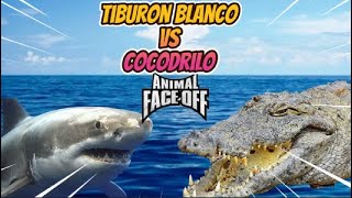 Duelo animal  Tiburon vs cocodrilo [upl. by Hsatan]