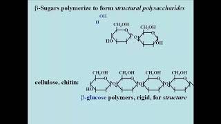 1272 Carbohydrates Sugars amp Polysaccharides [upl. by Ahsiatal521]