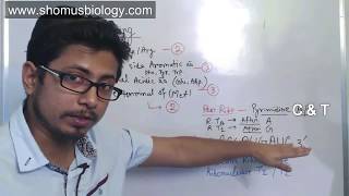 Peptide sequencing problem  CSIR NET analytical problems for Part C [upl. by Trueman]