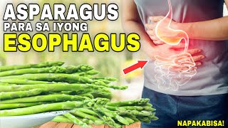 ASPARAGUS grabe pala sa ESOPHAGUS  Facts and Health Benefits of Asparagus [upl. by Asseral]