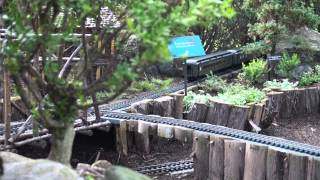 Trains at the Chicago Botanic Garden [upl. by Willyt]