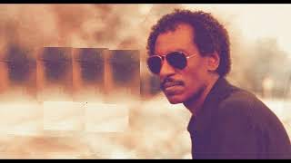 Yemane Barya  Feriheki ye Lyrics I ፈሪሐኪ የ ምስ ግጥሚ Official Music Video 2023 [upl. by Lerrad]