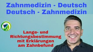 Zahnmedizin Deutsch  Deutsch  Zahnmedizin  Begriffe mit Erklärung am Beispiel des Zahnbefundes [upl. by Assetak]