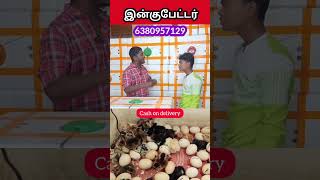 IncubatorReelsManufacturingTrending Agriculture Vivasayam tamilreelstrending [upl. by Rellim]