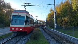 Durchfahrt vo de S18 Schnelzug nach Esslingen in Zollikon Waldburg [upl. by Michella458]