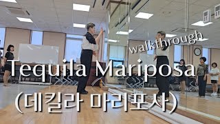 Tequila Mariposa 데킬라 마리포사linedance walkthrough 라인댄스전문강사김영라인댄스파주운정라인댄스라인댄스전문스튜디오 운정역1번출구 [upl. by Christalle820]