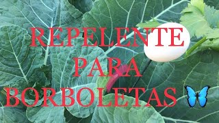 COMO FAZER REPELENTE PARA BORBOLETAS  HOW TO MAKE BUTTERFLY REPELLENT [upl. by Yklam]